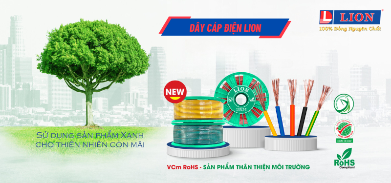 DAY_CAP_YIYN_lion