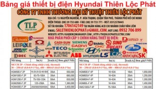 Bảng giá thiết bị điện Hyundai Thiên Lộc Phát
