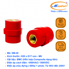 Gối đỡ SM 20 Master