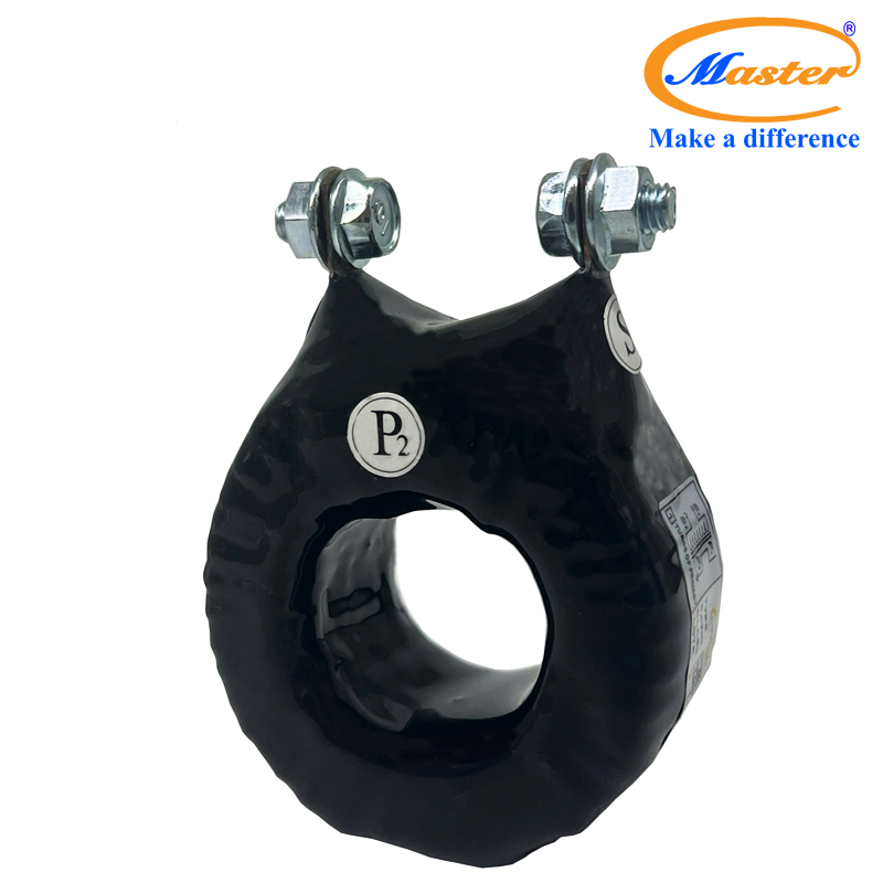 Biến dòng đo lường MCT 250/5A Master - đúc epoxy đen tròn